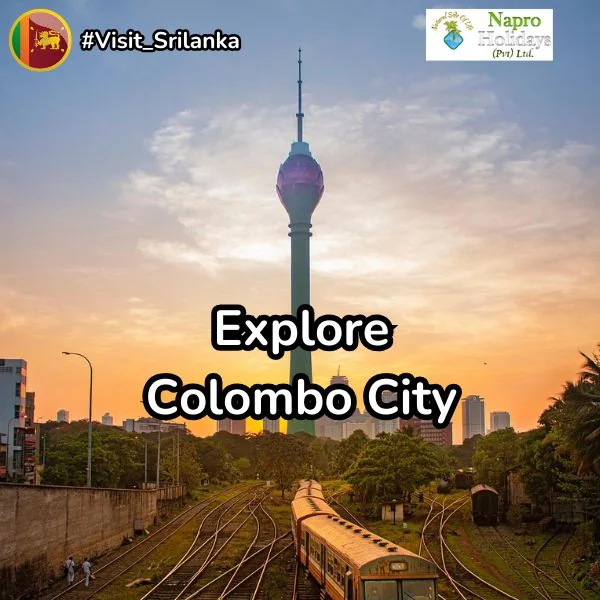 Colombo City Tour