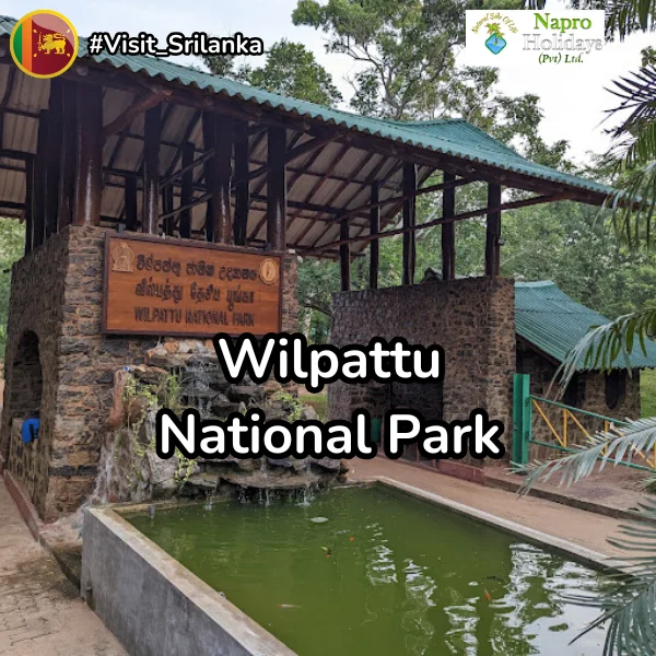Wilpaththu National Park Main image